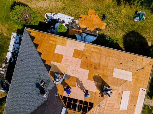 Best Flat Roof Repair Services  in Lacey, WA